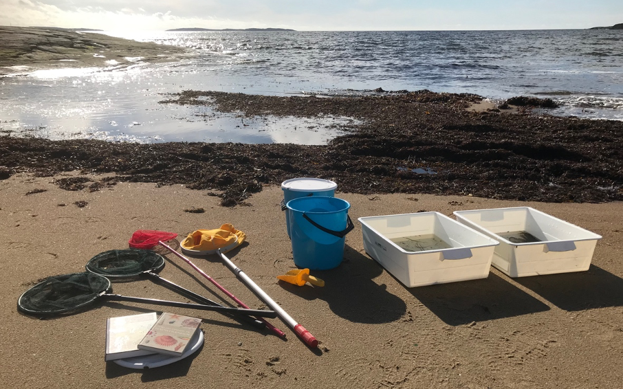 Workshop i marinbiologi på stranden. Åsa Vita Sand, Åsa. Håvar, hinkar.