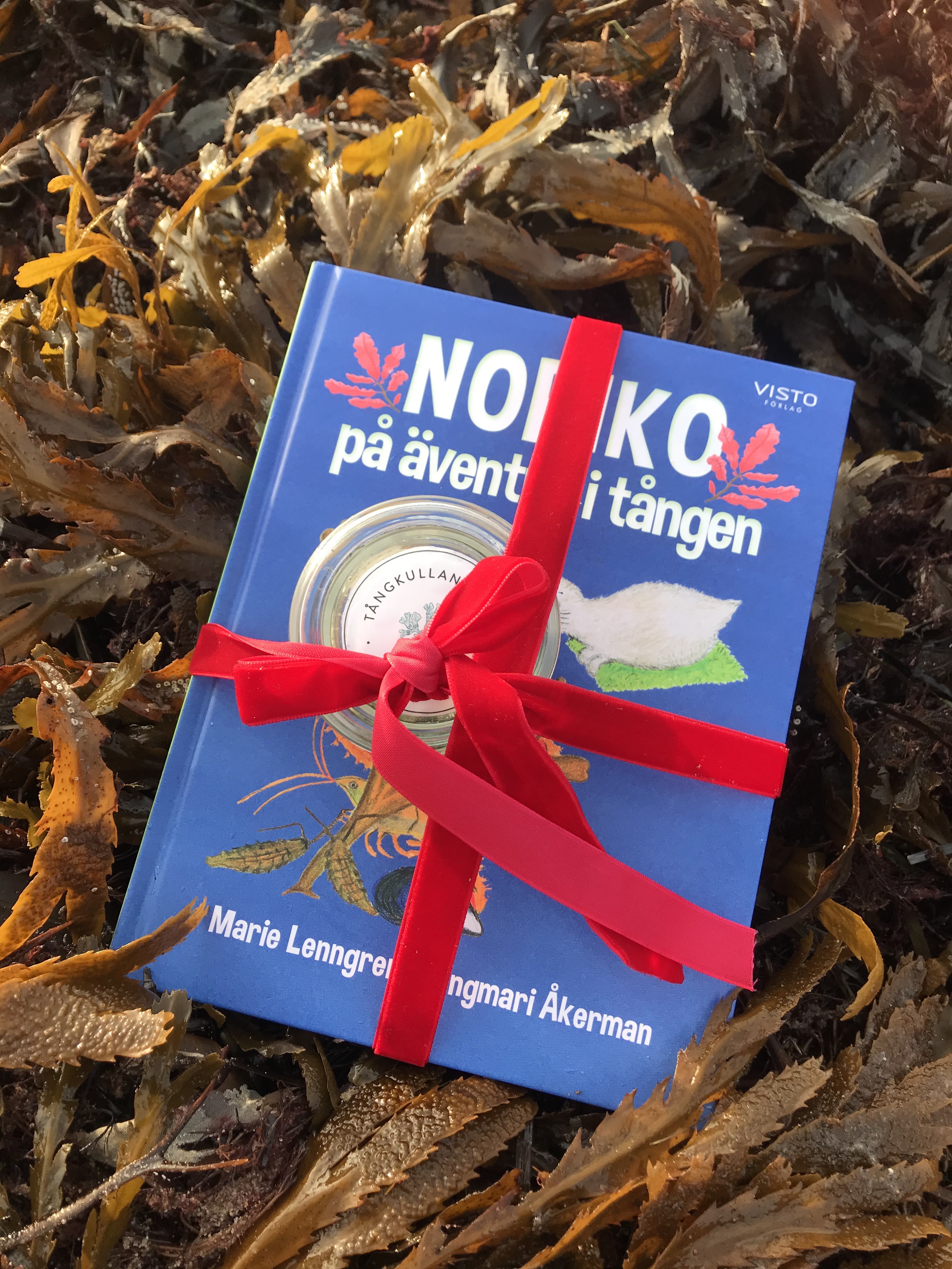 Norikos julklappspaket med boken "Noriko på äventyr i tången" och Tångkullans tångsalt