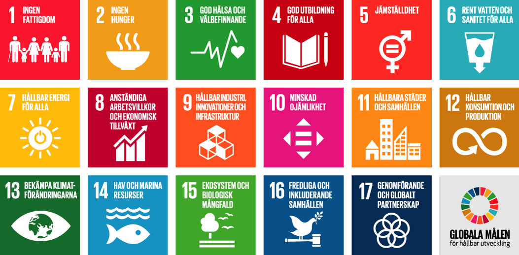 Noriko på äventyr i tången: Kärnan i vår verksamhet är de globala målen i Agenda 2030.