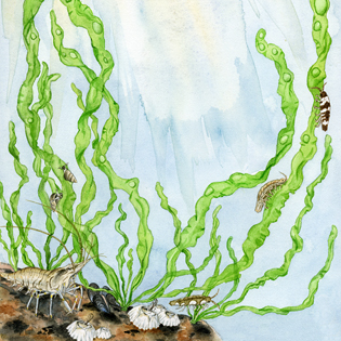 Bild målad av Maj Persson