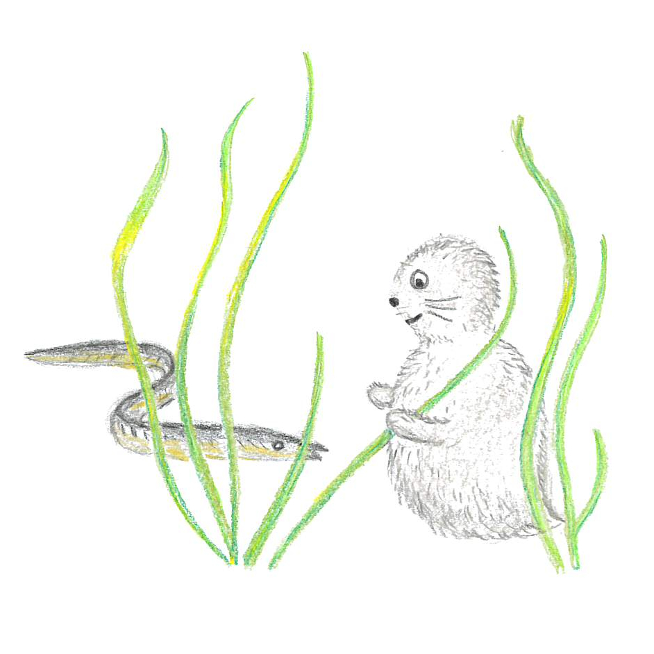 Bild av Noriko i ålgräsängen