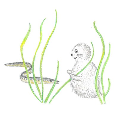 Bild av Noriko i ålgräsängen