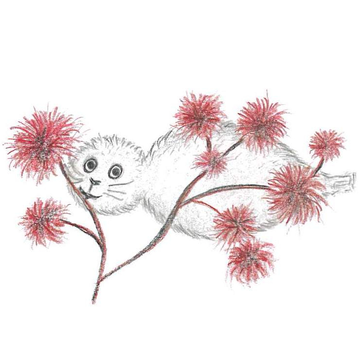 Bild av Noriko med rödslick