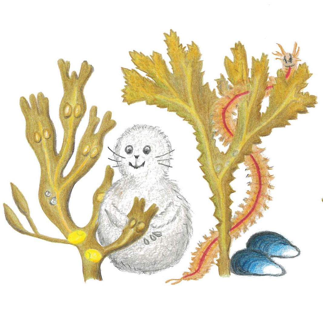 Bild av Noriko och tång