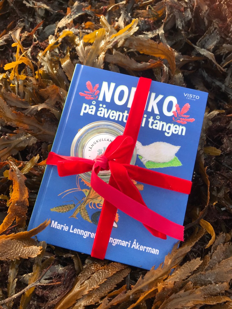 Bild av julklappspaket: boken Noriko på äventyr i tången och Tångkullans tångsalt på tångbädd