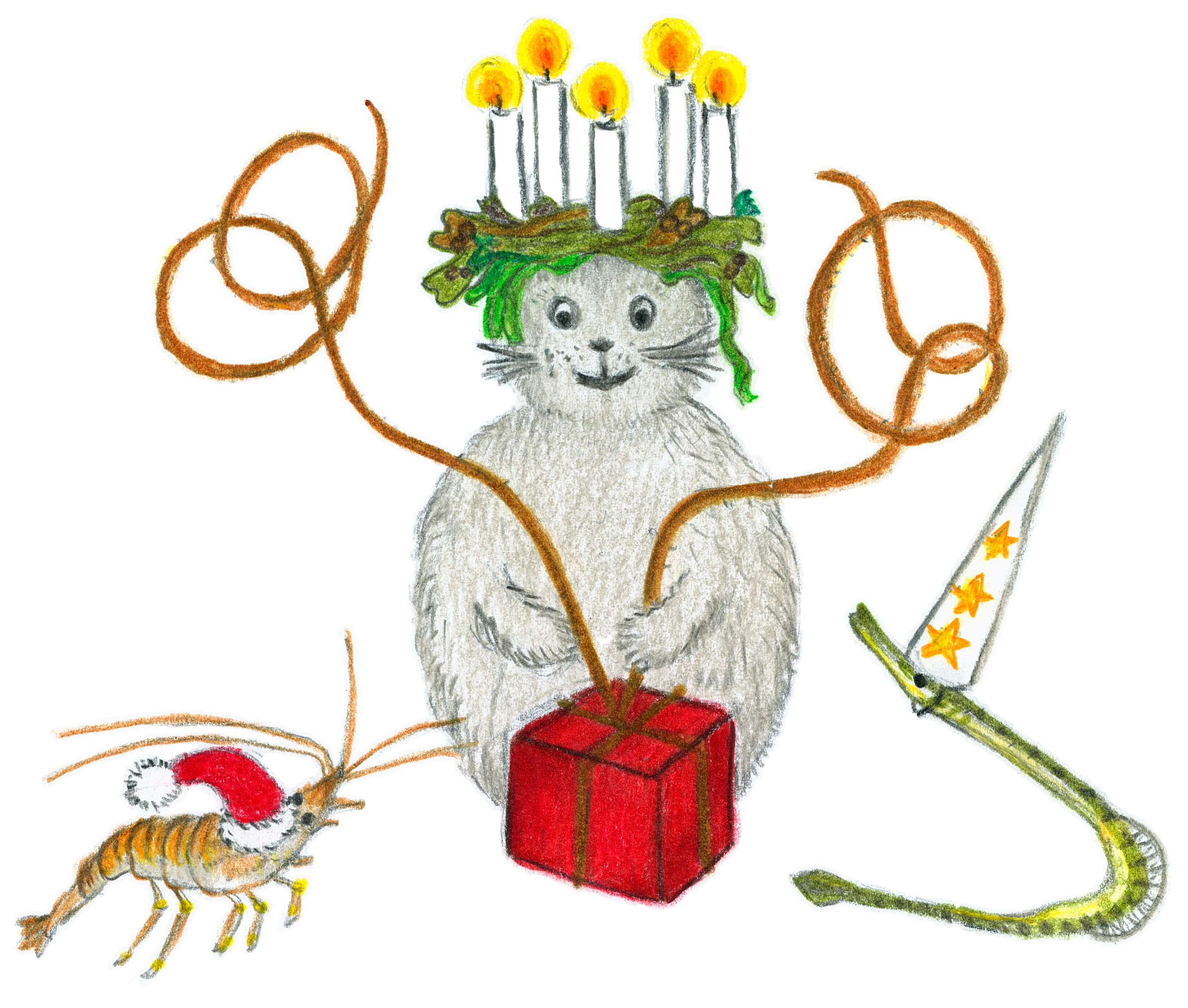 Luciatåg i havet: Noriko som lucia med luciakrona av blåstång och ålgräs. Tångräkan är tomte och tångsnällan stjärngosse!