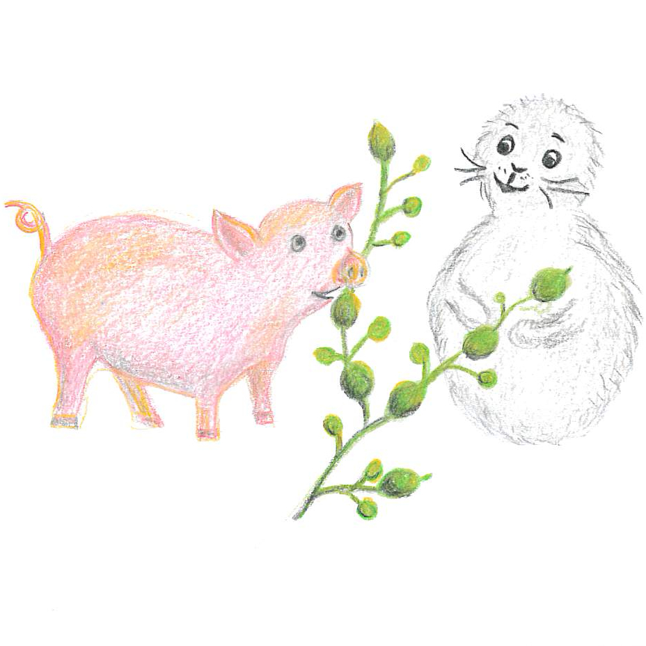 Noriko påäventyr i tången: Noriko och knöltång, även kallad gristång. Ascophyllum nodosum.