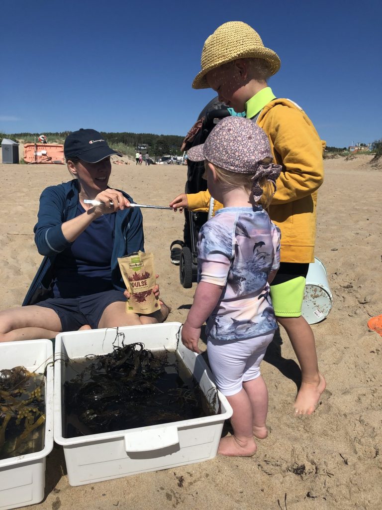 Norikos provsmakning av dulse