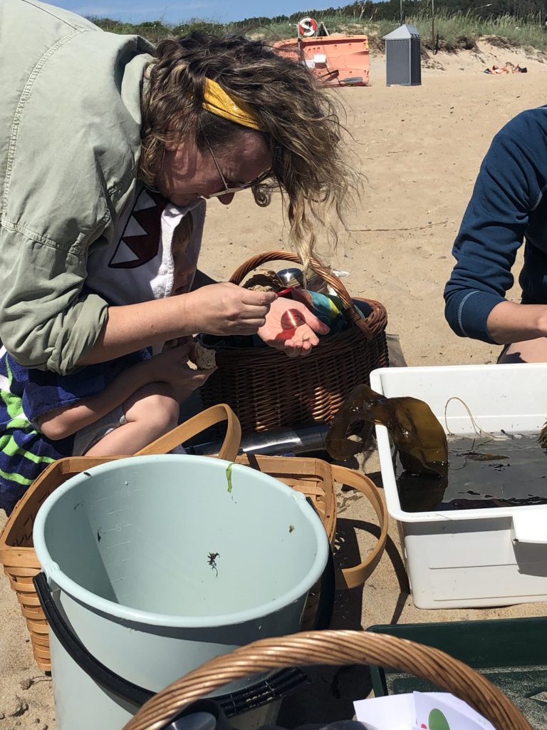 Norikos tångsafari med förstoringsglad