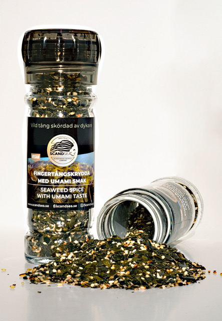 Fingertångskrydda hos Lilla havsbutiken