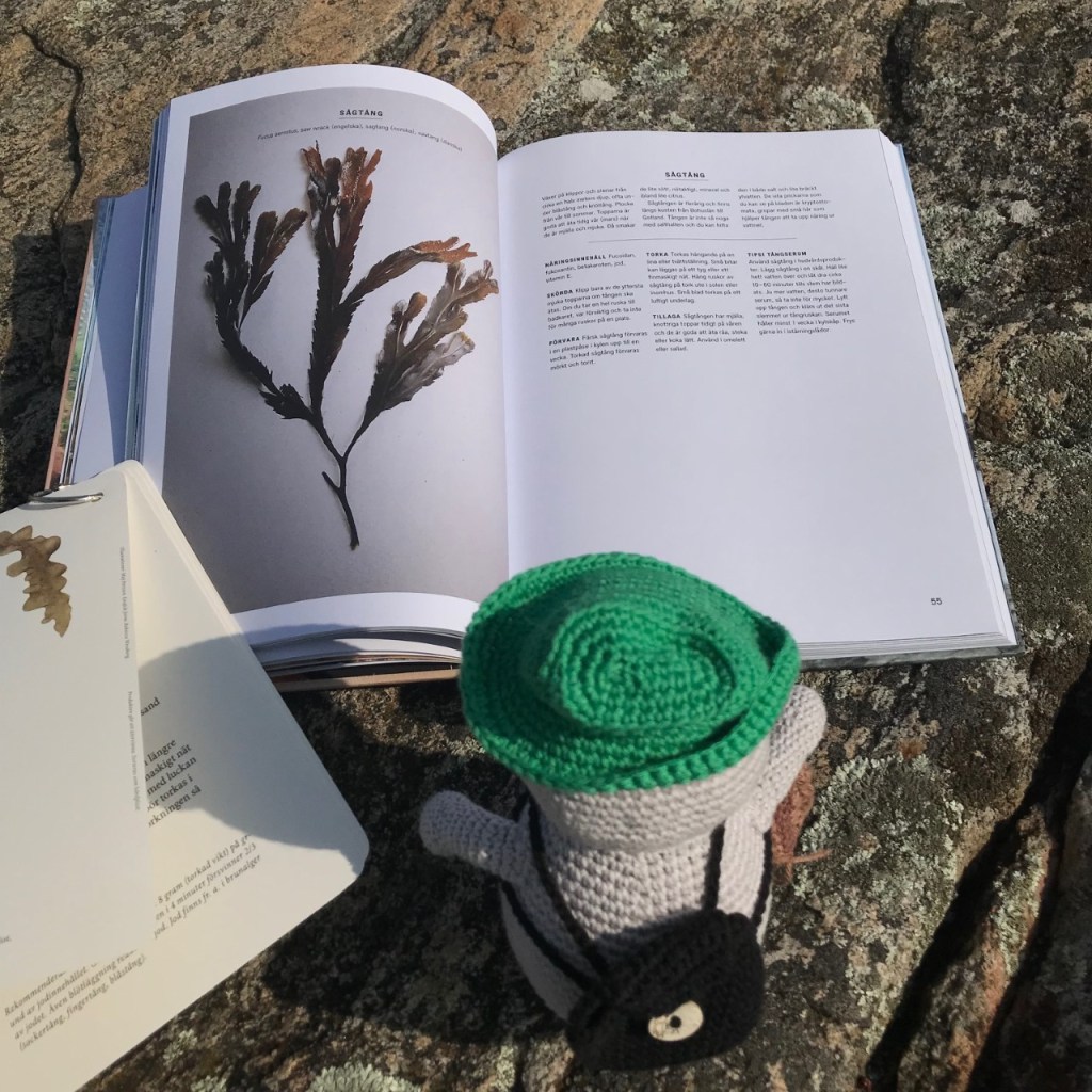 Noriko läser om sågtång i "Plocka tång & strandväxter"