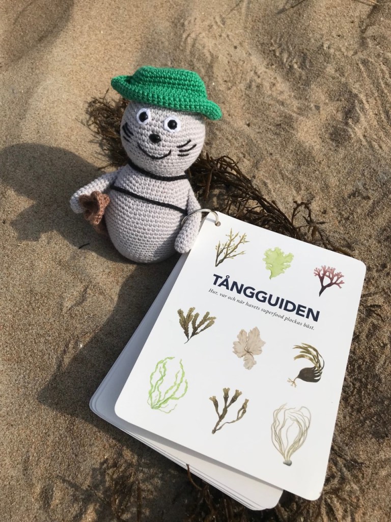 Noriko på äventyr i tången med Tångguiden